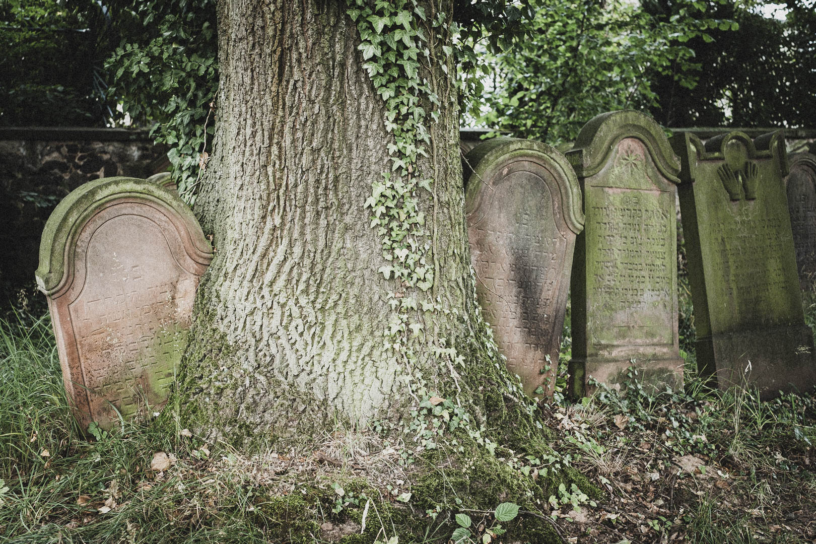 Langenselbold, Jüdischer Friedhof
